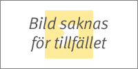 MODELL NELSON i gruppen Stolsverdrag & Inredning till husbil / HELINTEGRERAD HUSBIL hos Ullbdden AB (165r)